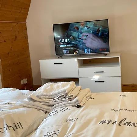 Cozy Near Main Train Station Apartment Linz